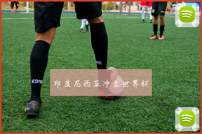 印度尼西亚冲击世界杯