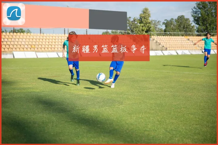 新疆男篮篮板争夺