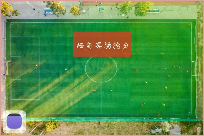 缅甸客场抢分