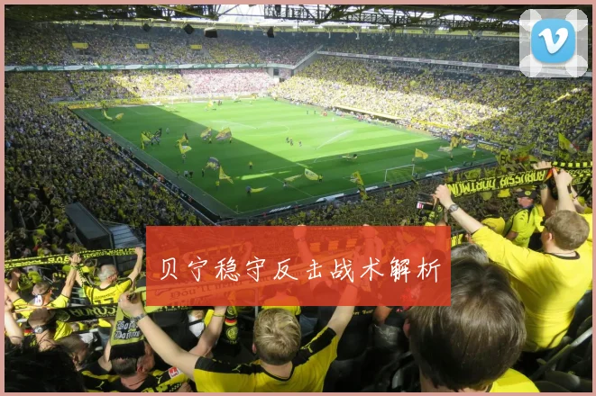 贝宁稳守反击战术解析