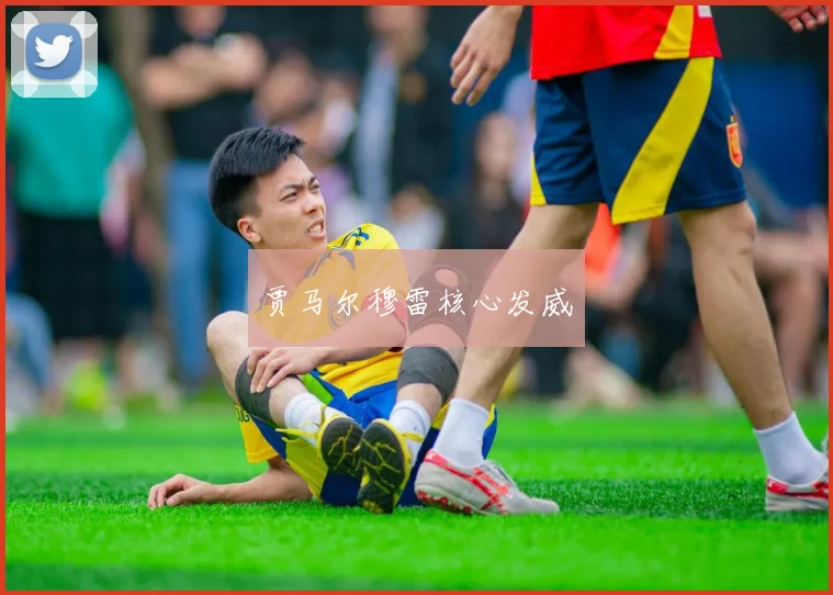 贾马尔穆雷核心发威