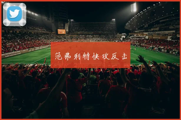 范弗利特快攻反击