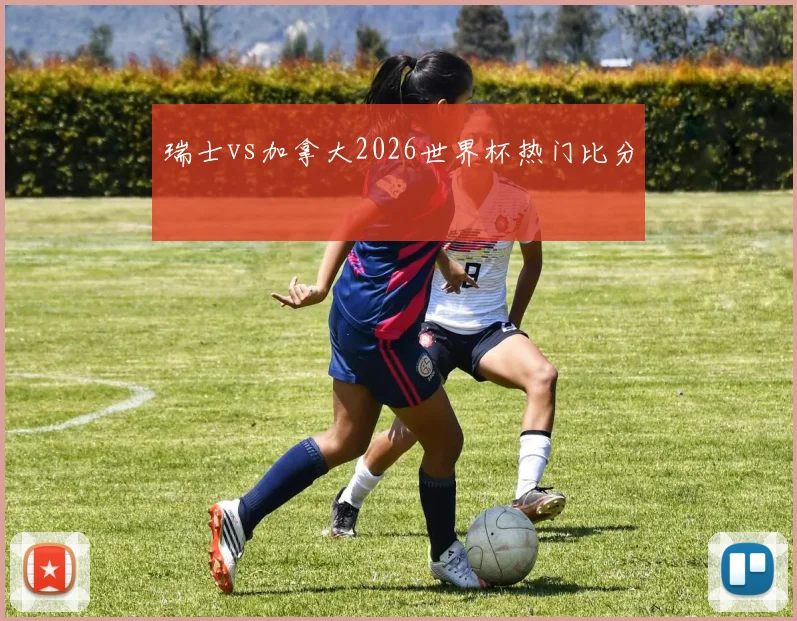 瑞士vs加拿大2026世界杯热门比分