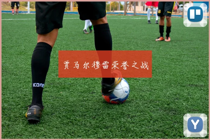贾马尔穆雷荣誉之战