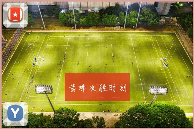 黄蜂决胜时刻
