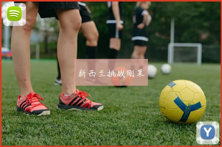 新西兰挑战刚果