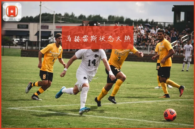 马赫雷斯状态火热